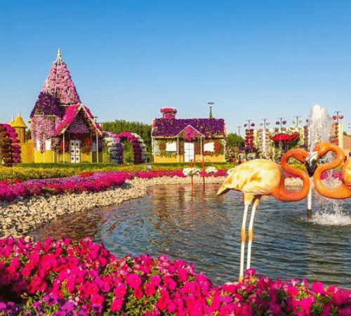 Miracle Garden Dubai